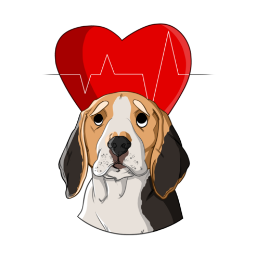 Сердечная аритмия у собак: причины, диагностика и эффективное лечение