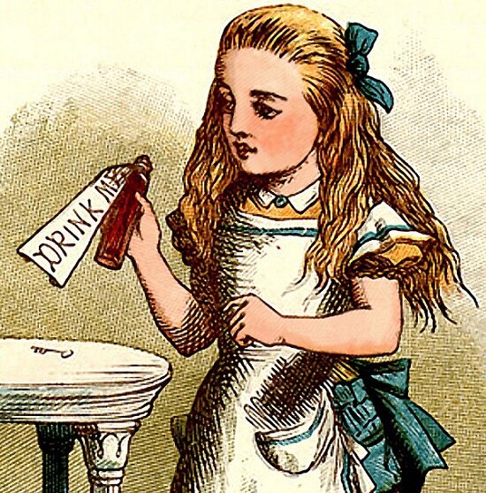  Прежде  всего надо убедиться, что на этом пузырьке нигде нет пометки: "Яд!"-- сказала она (Л.Кэрролл " Алиса в стране чудес")