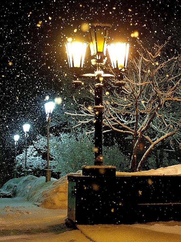 Источник: https://otvet.imgsmail.ru/download/100502138_65a6a30f07b4fdc0baec340f887bd055_800.jpg