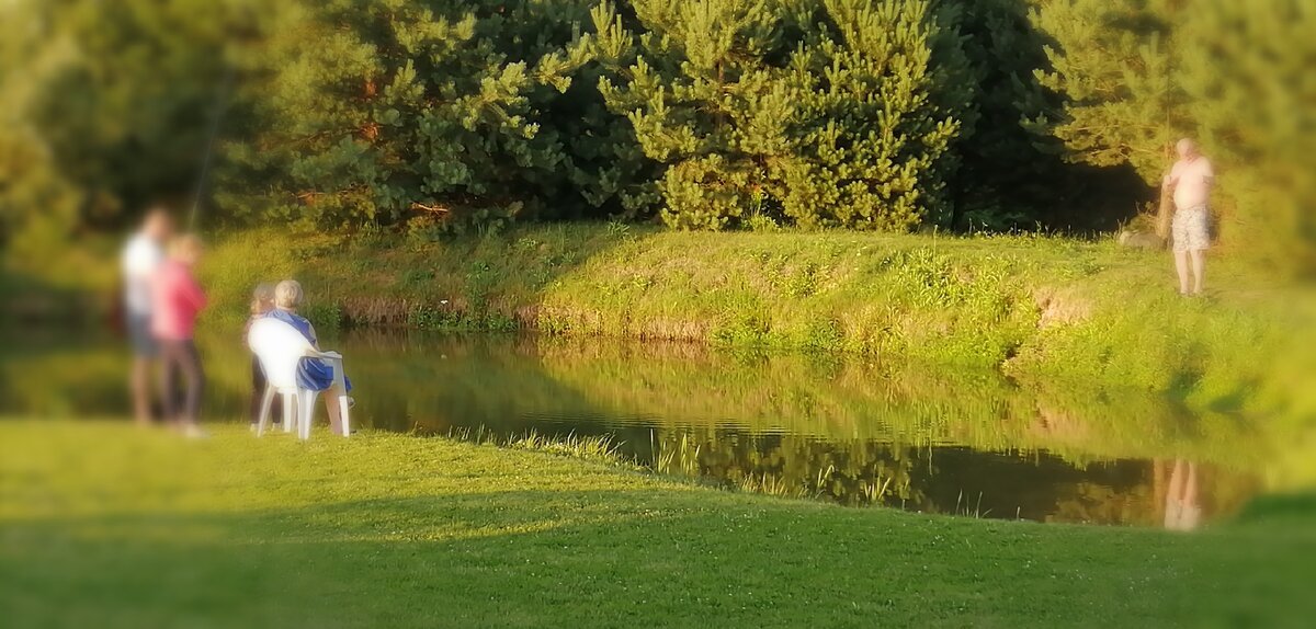 Мой пруд летом 2019