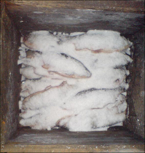 Иллюстрация для статьи используется по стандартной лицензии ©stroi-rasti.ru