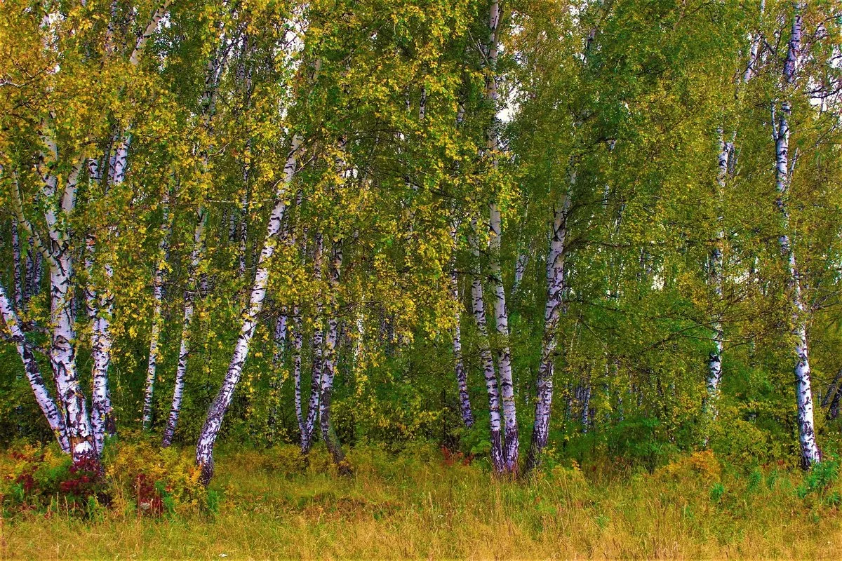 Фото сайта  fotoload.ru.