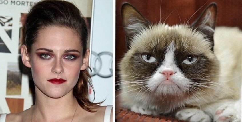 Источник: Яндекс.Картинки