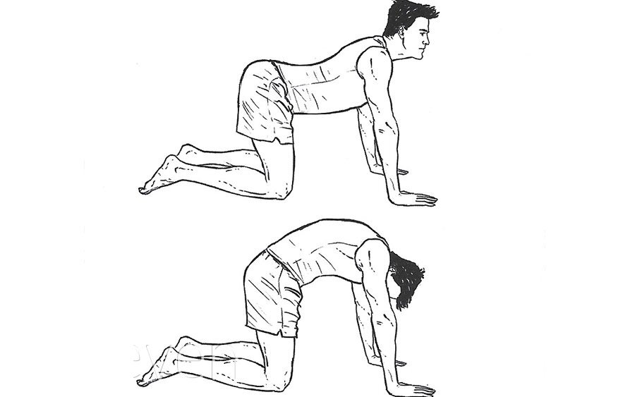 Упражнения для улучшения осанки и снятия напряжения с мышц.