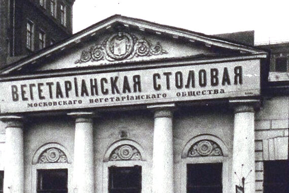 Фото из открытых интернет-источников.