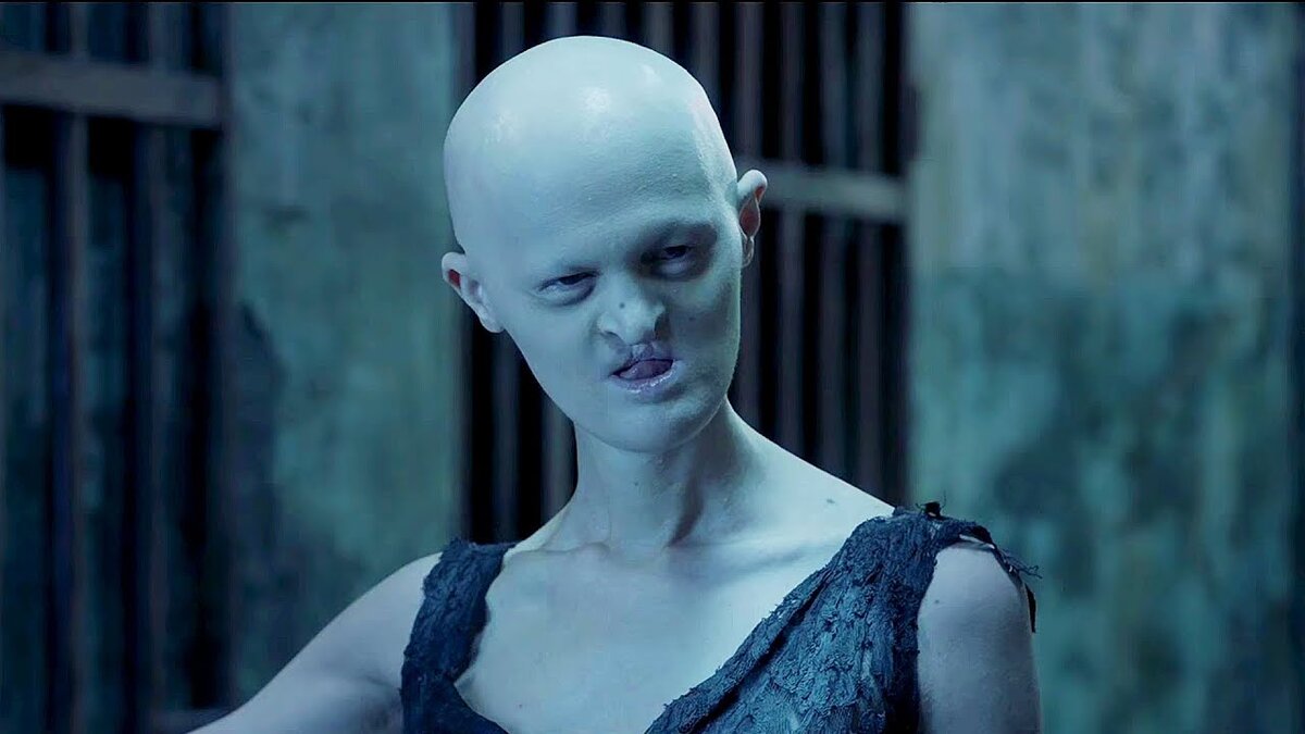 Яндекс. Картинки 