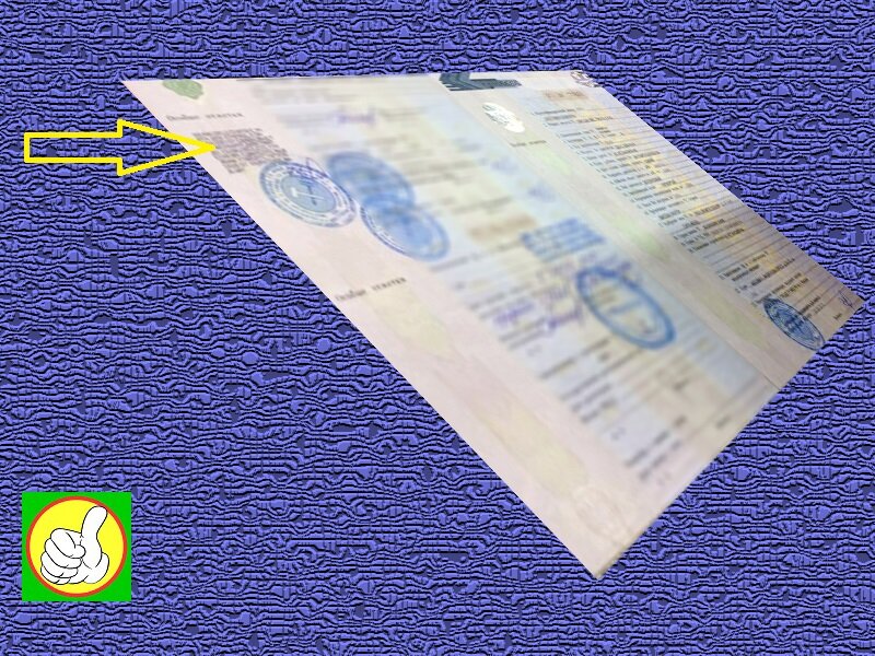 Дубликат ПТС.