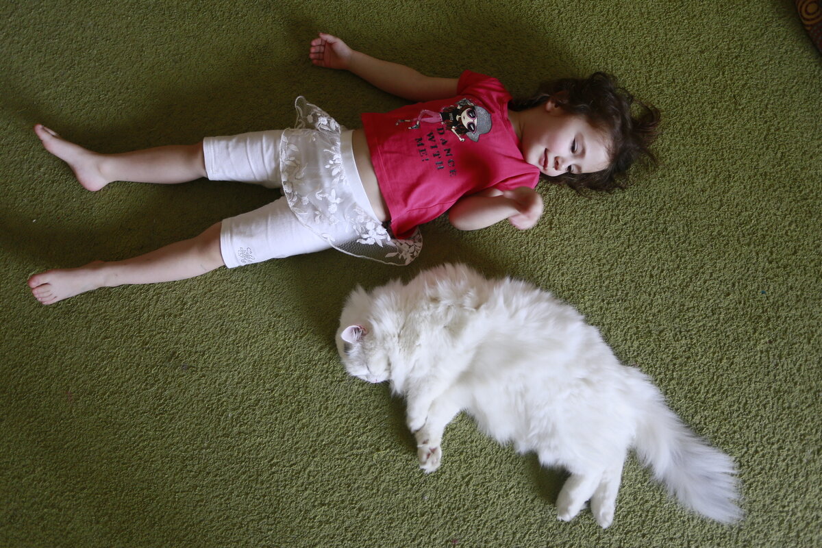 Прилег на секунду 