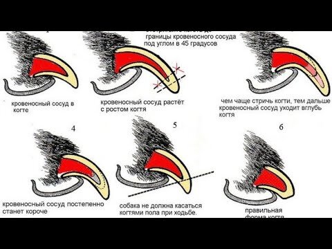Источник Яндекс картинки