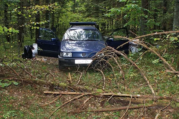 Найдены 1 автомобиль найдено 1 лицо. Найденные в лесу автомобили. Нашли машину в лесу. Заблудился на машине. Автомобиль грибник.