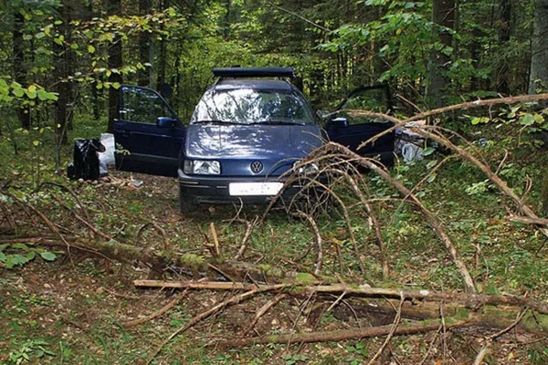 Потерянные машины. Найденные автомобили в лесу. Нашли машину в лесу. Автомобиль в кустах. Разобрали машину в лесу.