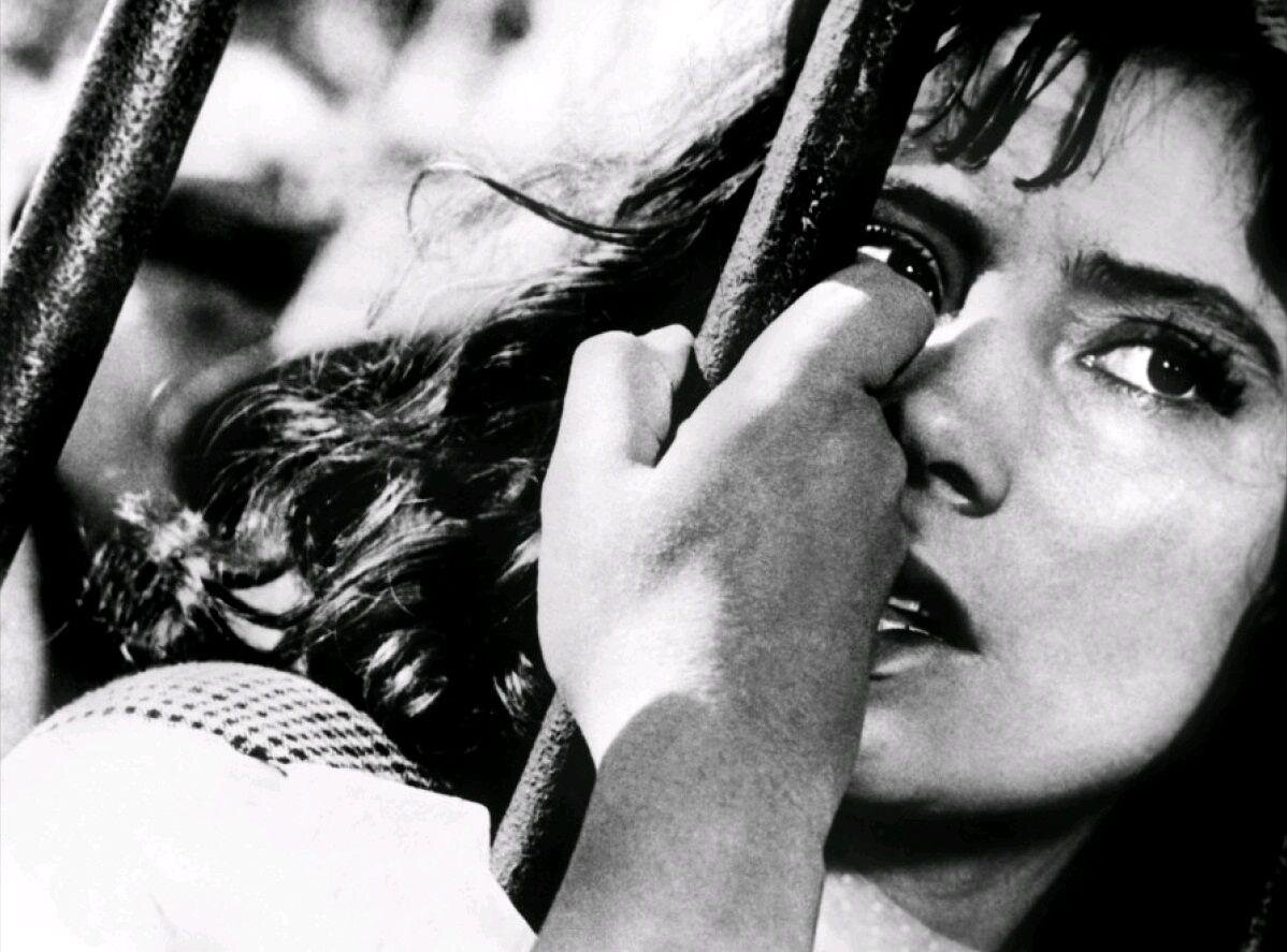 "Летят журавли", 1957