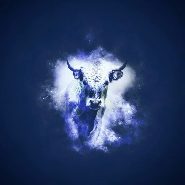 Фото взято из открытых источников.