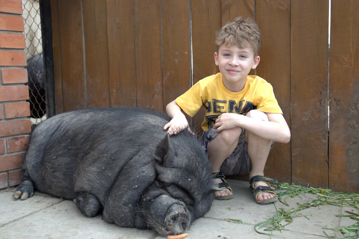 Гармония ребенка при разводе зависит от настроения родителя, который с ним остается. Смотря как эту ситуацию преподнесет ребенку родитель.