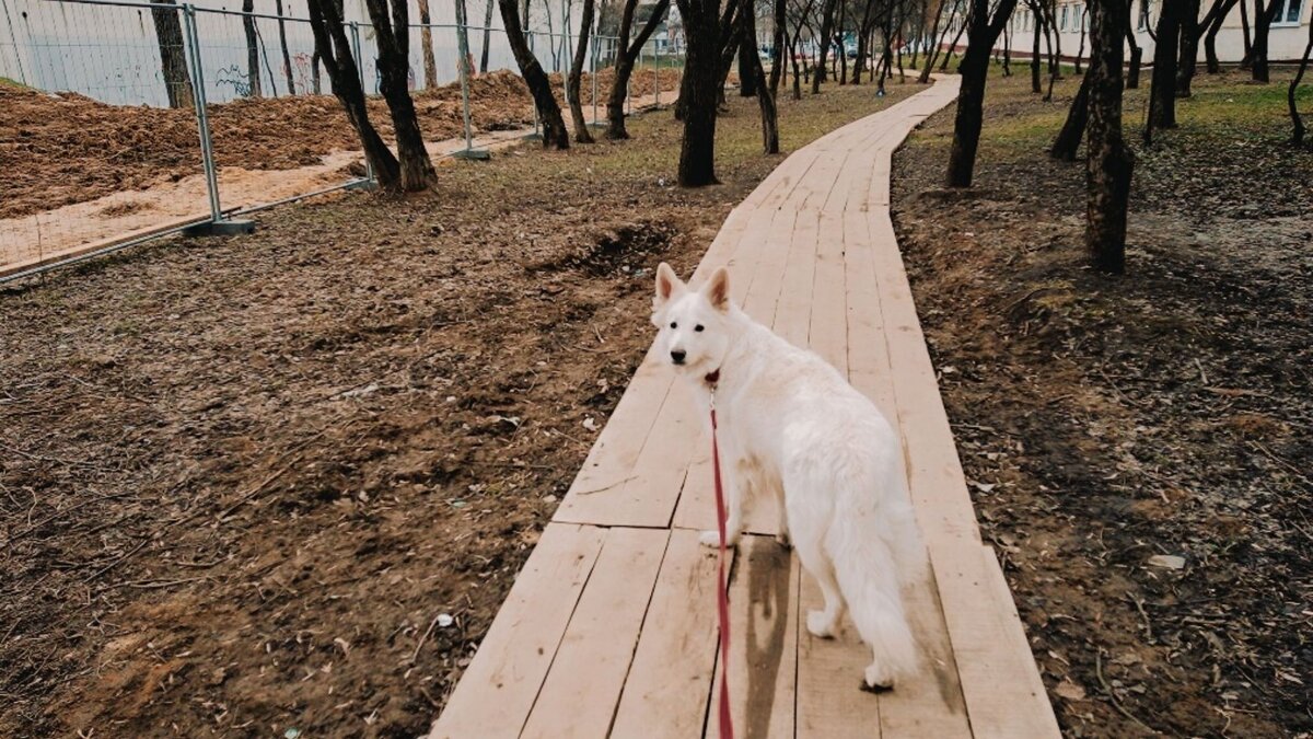 личные архивы