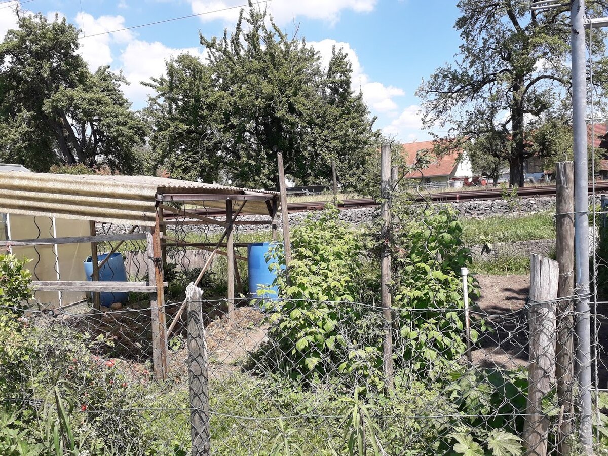 Дачи-огороды или  Kleingärten, Германия  