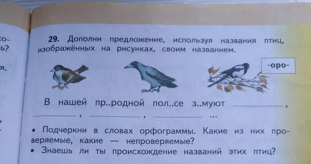 Что изображено на картинках в каждом предложении используйте a of слова из обеих рамок