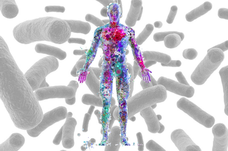 Бактерии которые есть в человеке. Микробиом (микробиота). Микробиом кишечника. Микробиота это в микробиологии. Бактерии в человеке.