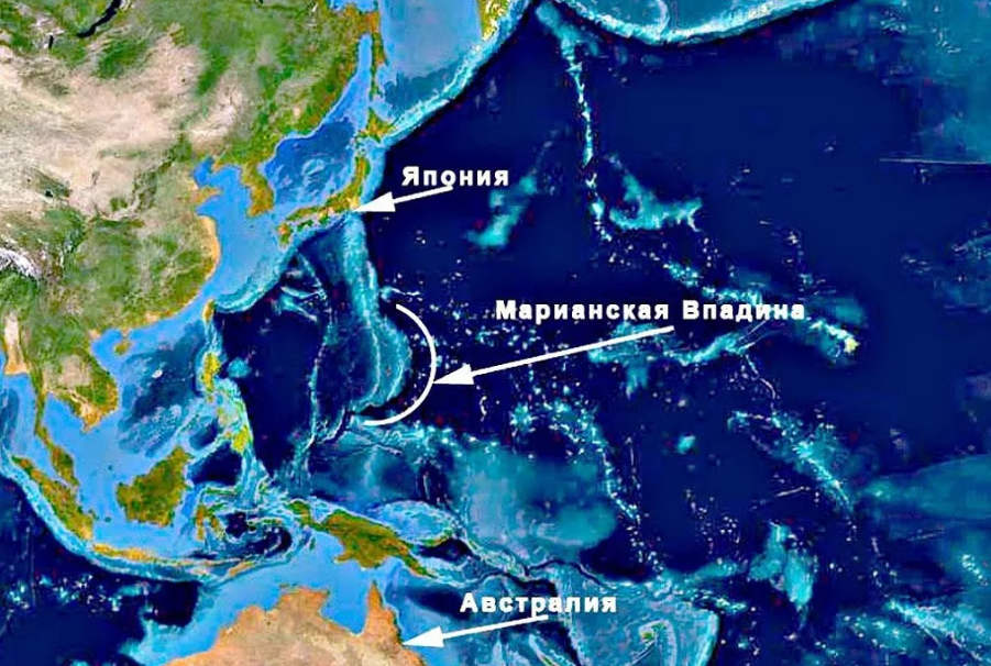 Яндекс картинки
