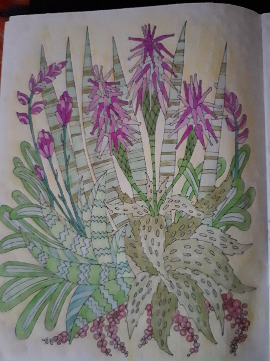 фото Т. Вороновой