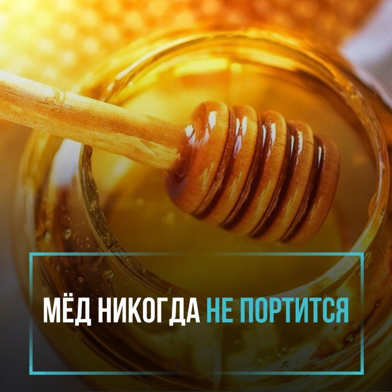 Мед порченный. Мед не портится. Мёд никогда не портится. Какой продукт никогда не портится. Продукты которые не портятся никогда.
