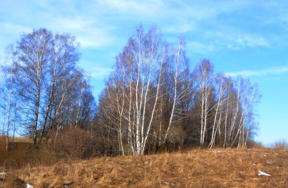 Фото — photosight.ru