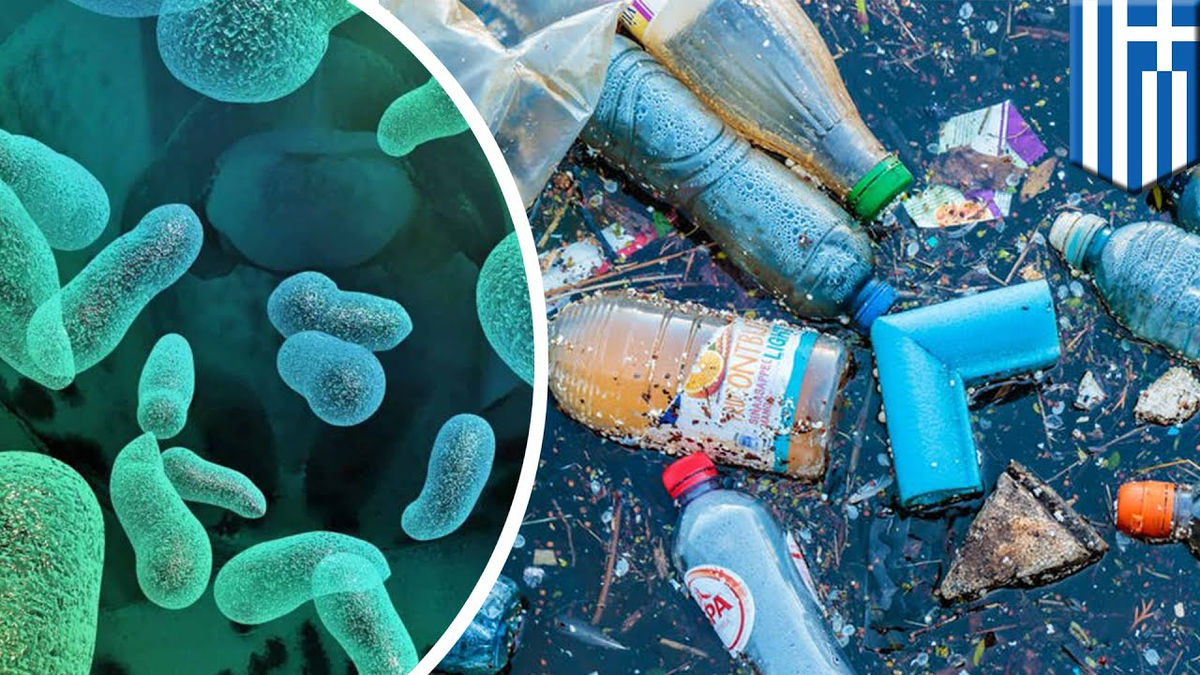 Организмы разрушающие органические. Бактерия Ideonella sakaiensis. Бактерии перерабатывающие пластик. Бактерии поедающие пластик. Бактерии разрушающие пластик.