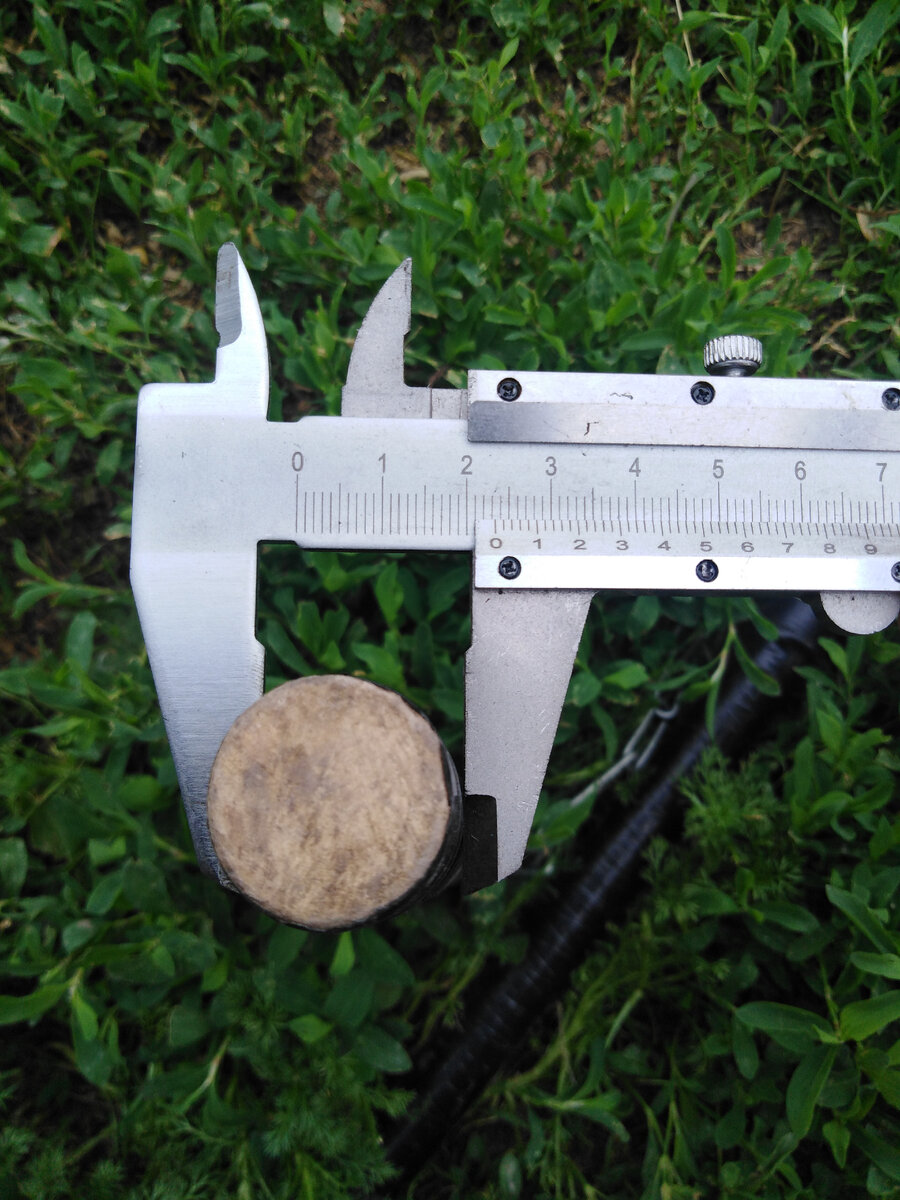 d=23 мм черенка взятого