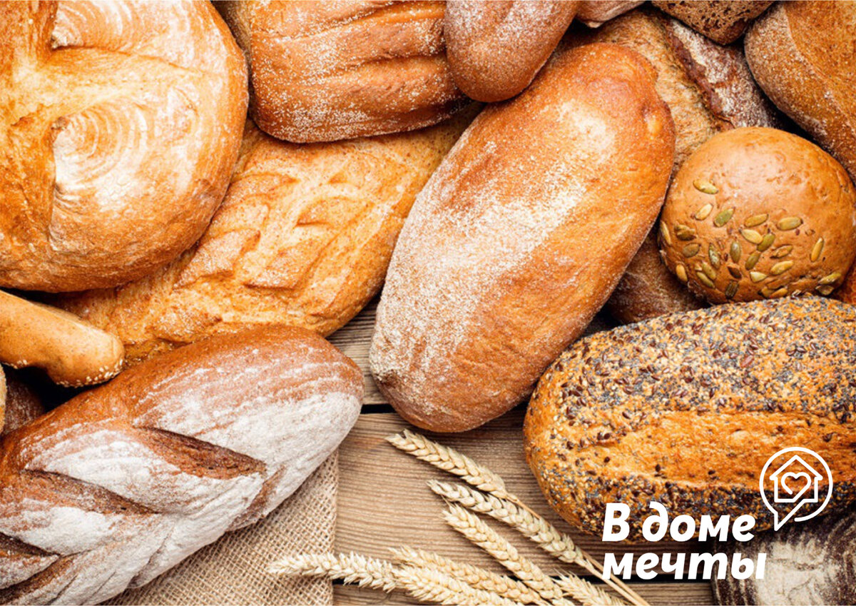 Подраздел 4.2: Способы правильного приготовления макарон для собаки