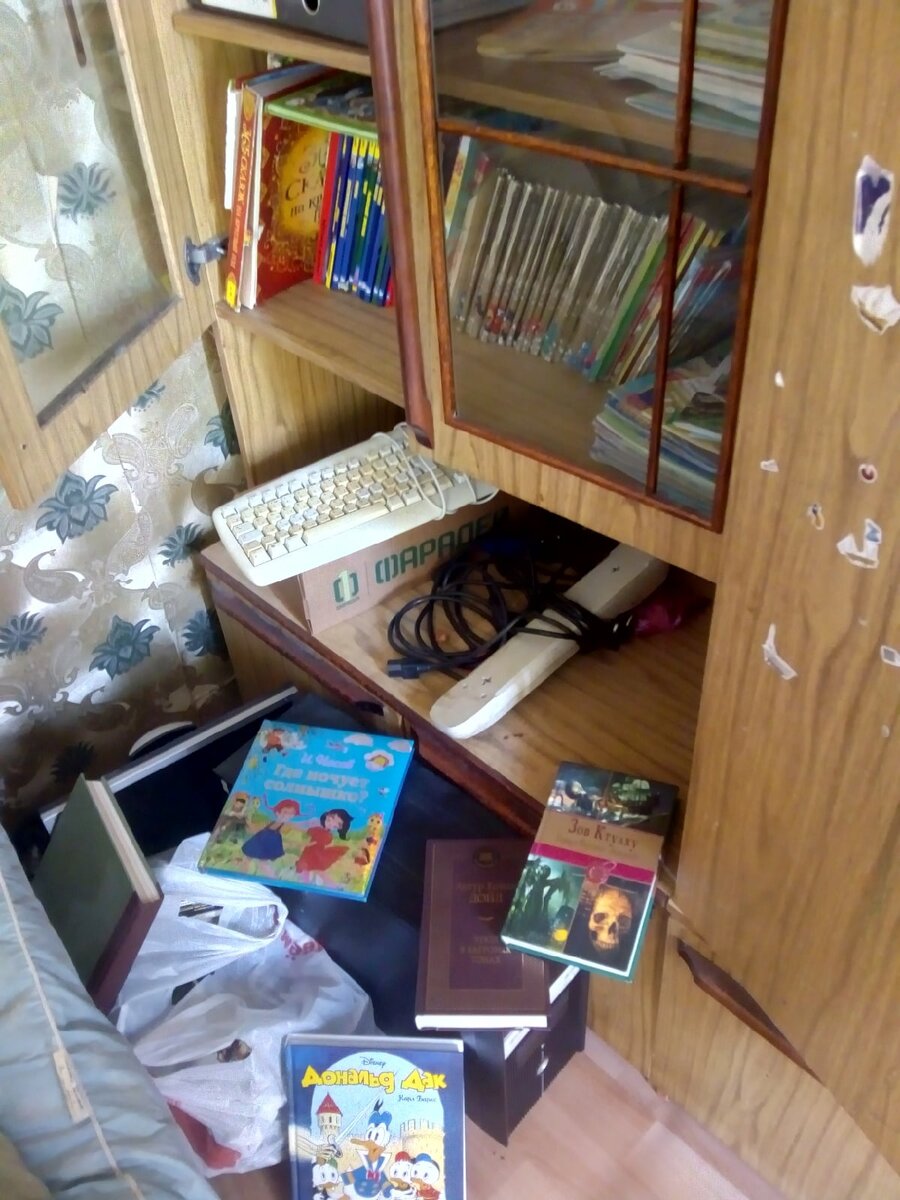 В таком виде я застала наш книжний шкаф, видимо пытались достать что то с верхней полки, так как именно на ней лежали мои книги, которые тоже были на полу. Все детские лежат внизу.