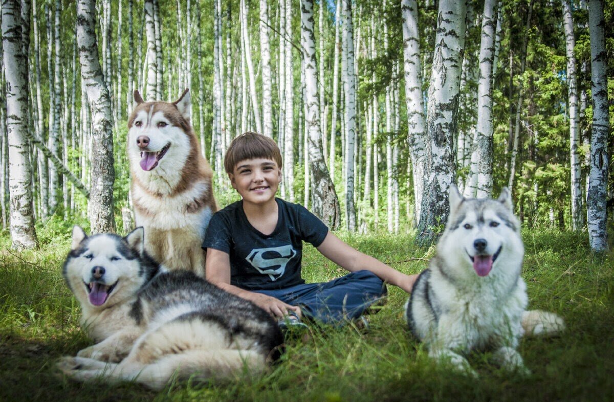 Счастливое лесное детство