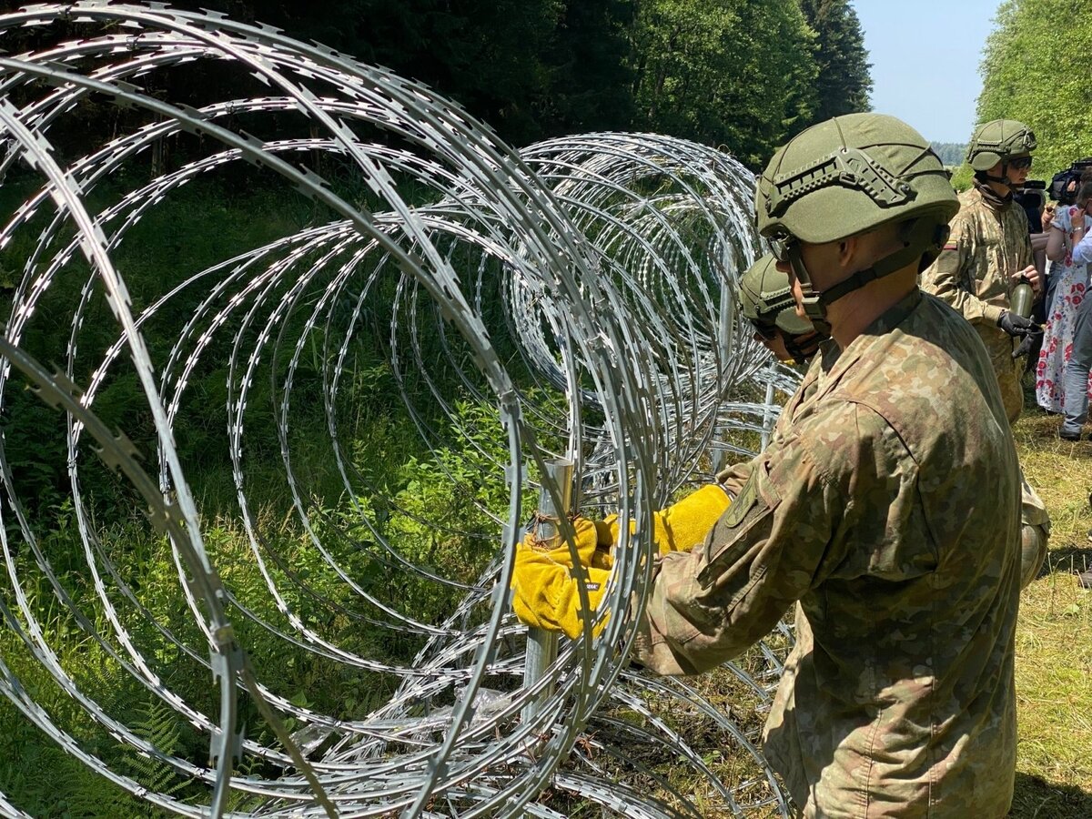 Литва строит целые стены из колючей проволоки. Источник: Яндекс.Картинки