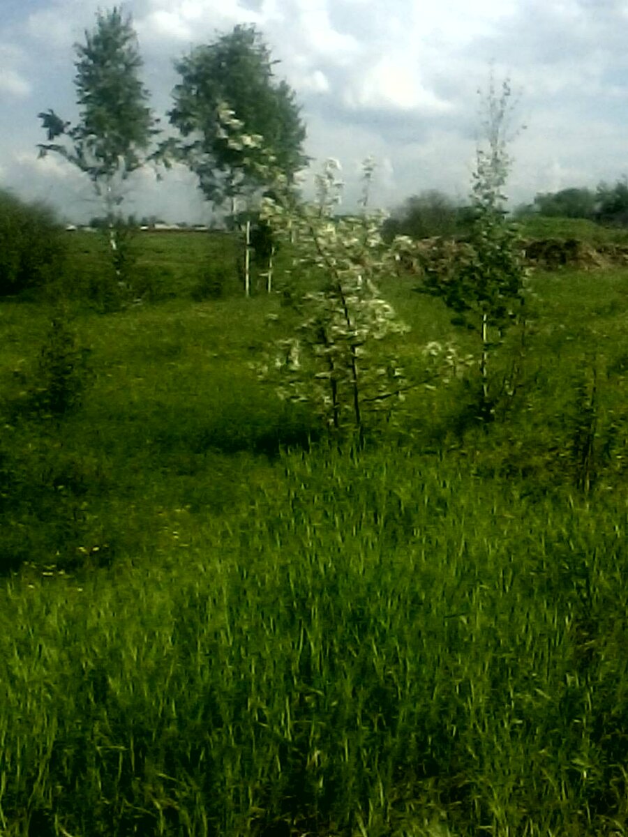 фото из личного архива