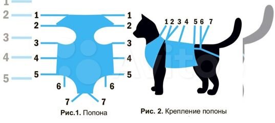 Послеоперационная попона: что это такое и для чего она нужна? Попона — это тугой «чехол», надеваемый на живот прооперированной кошки.