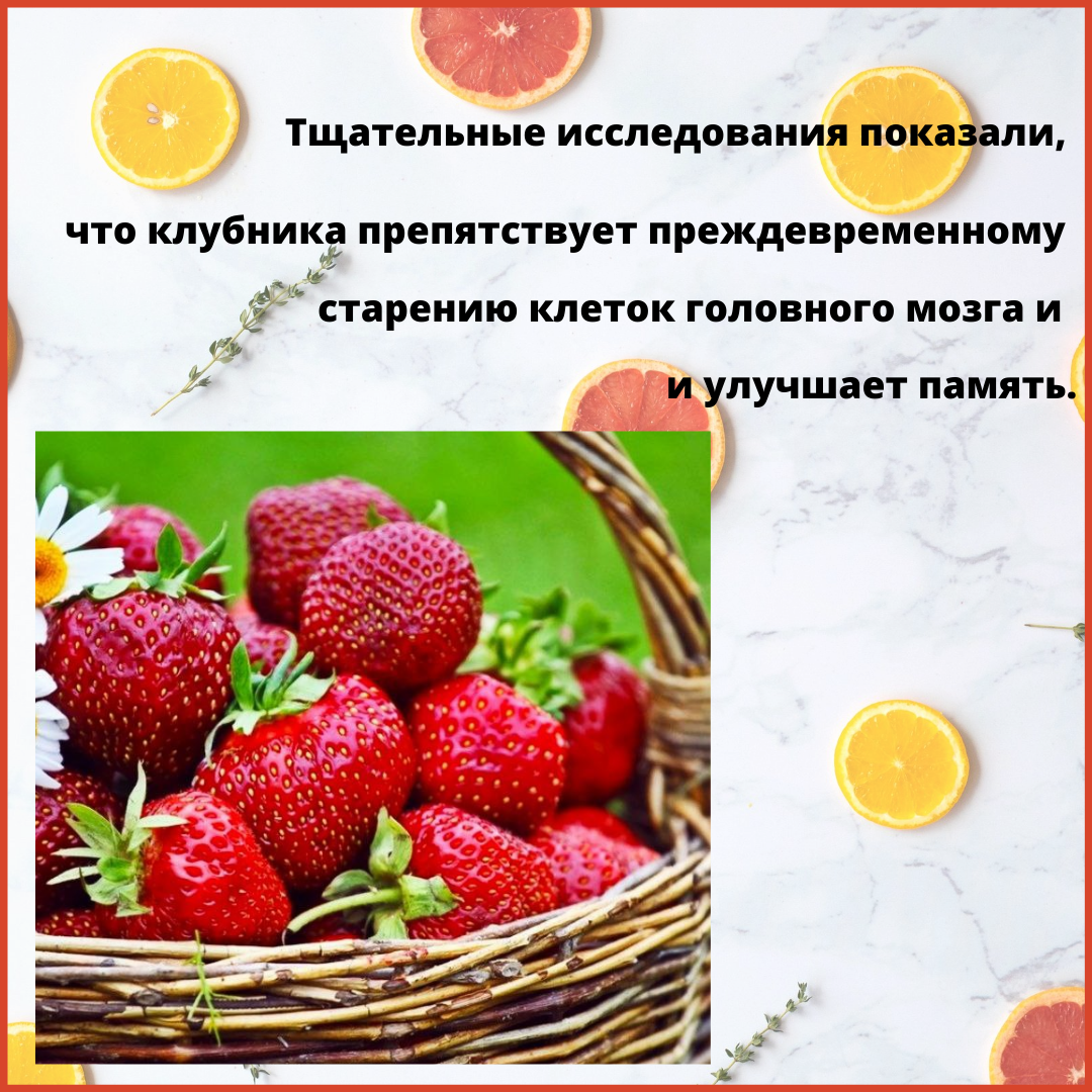 Рубрика Полезные Бесполезности