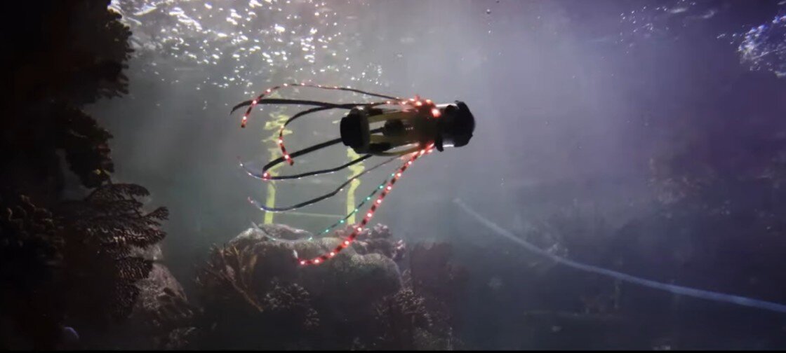 Кадр из видео University of California San Diego.