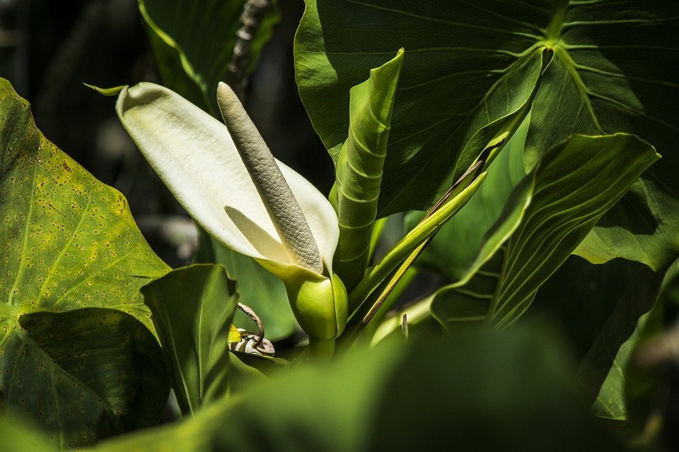 фото взято из открытых источников