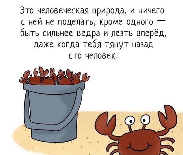 с просторов интернета