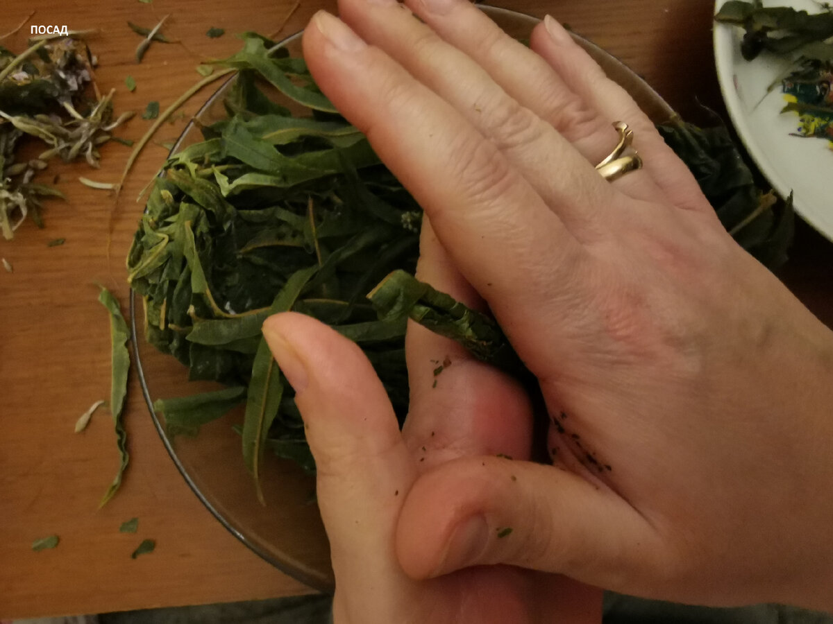 Листья легко скручиваются и дают сок. А цветы нужно сушить сразу. Заморозку они не выдерживают.