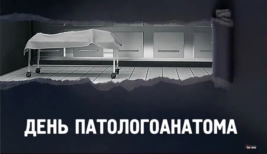 День патологоанатома. Иллюстрация: Курьер.Среда