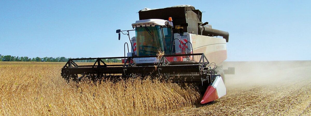 Хлеб не растет в супермаркетах на полках))