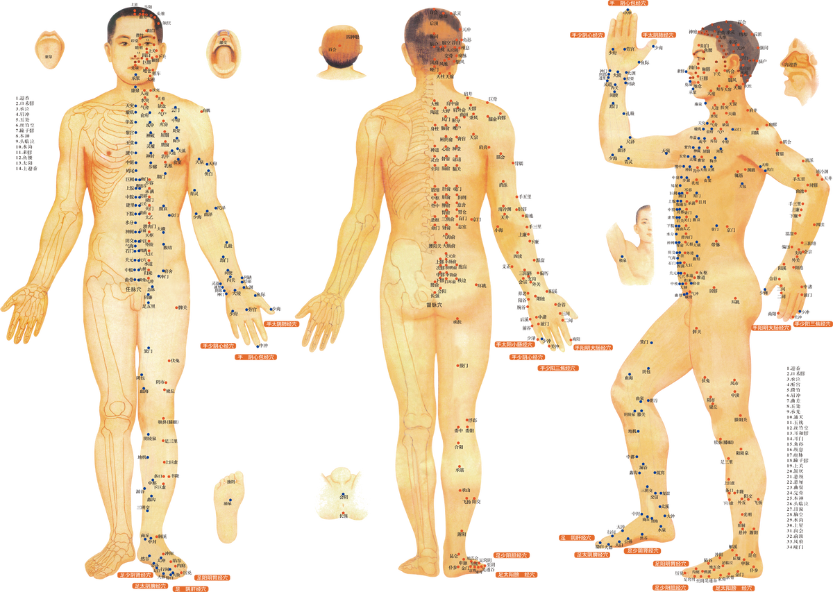 Энергетические каналы с биологически активными точками