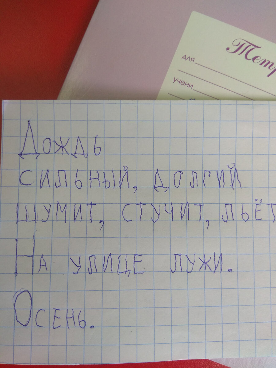 В ожидании результатов ЕГЭ по русскому языку: составляем синквейны | Люблю  читать, люблю писать | Дзен