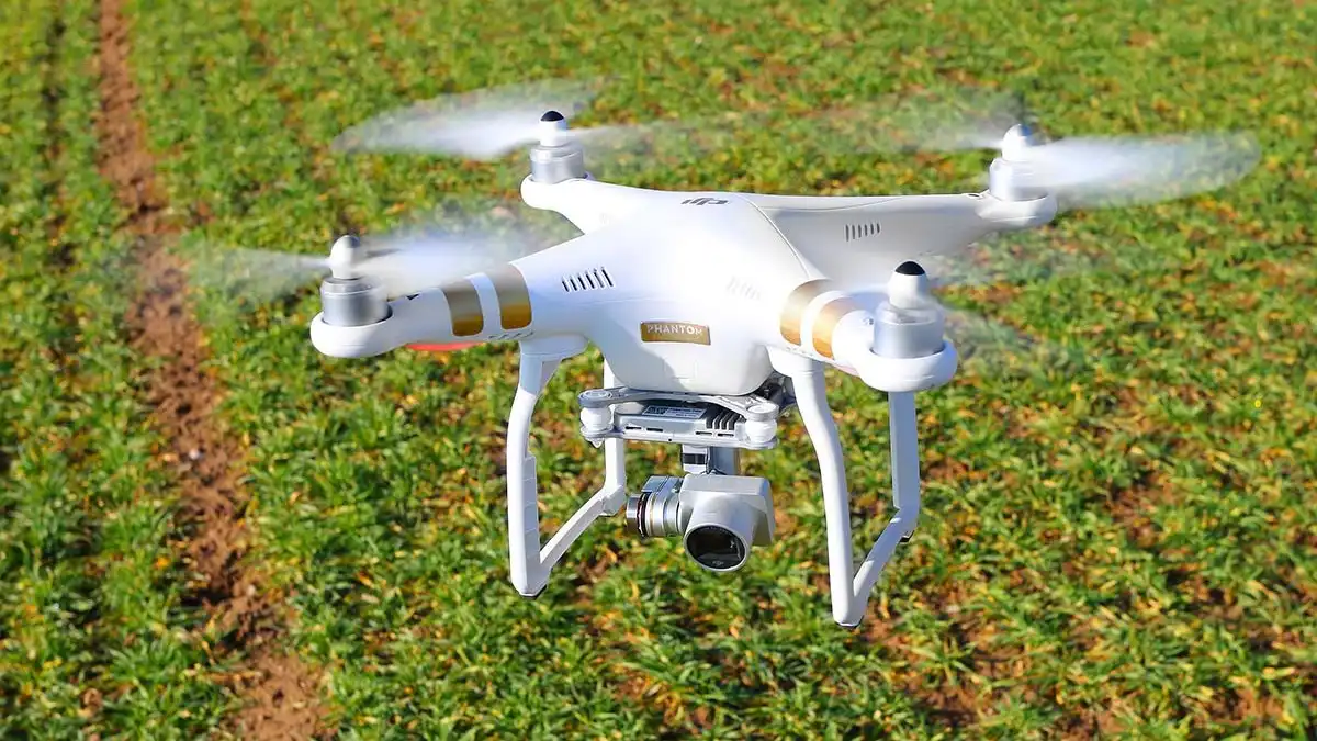 Фото:myseldon.com