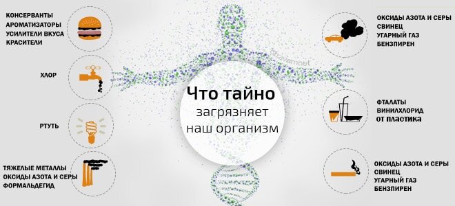 фото источник otravamnet.ru