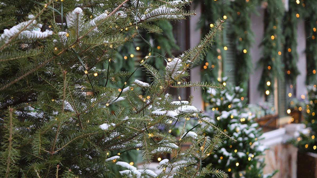    Фото: Анастасия Кочеткова / Вечерняя Москва