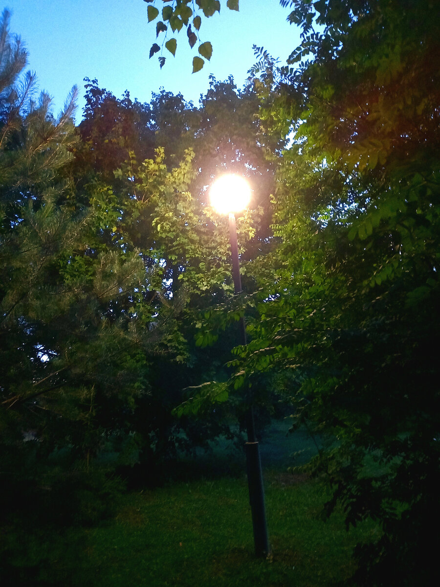 Летняя ночь.