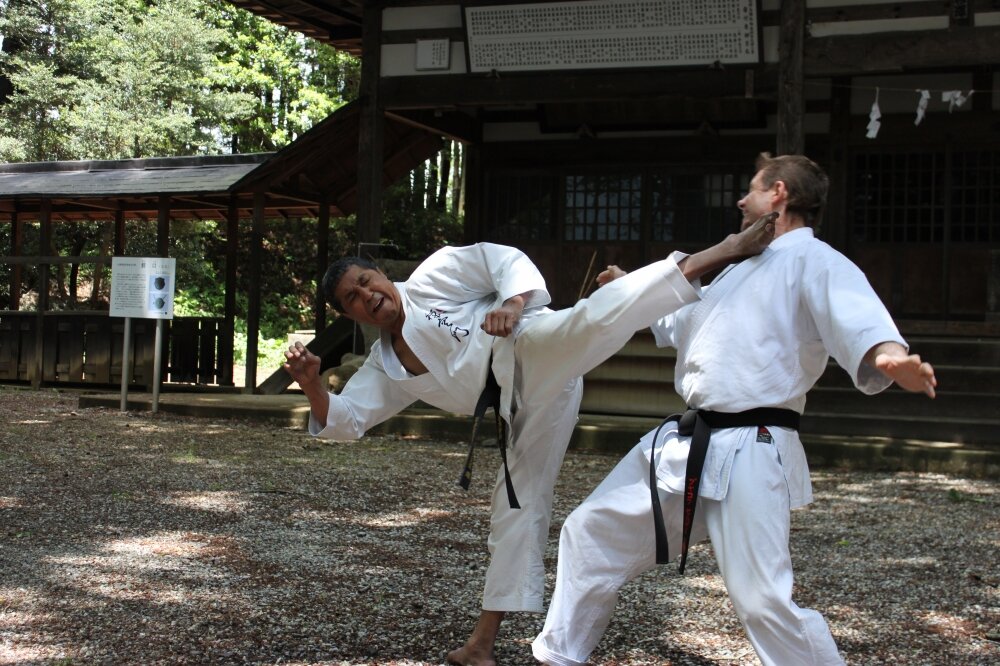 Какой карате сильнее. Маваши гери. Самый сильный каратист в мире был. Кубанские каратисты привезли из волгограда 30 медалей. Бешеный каратист.