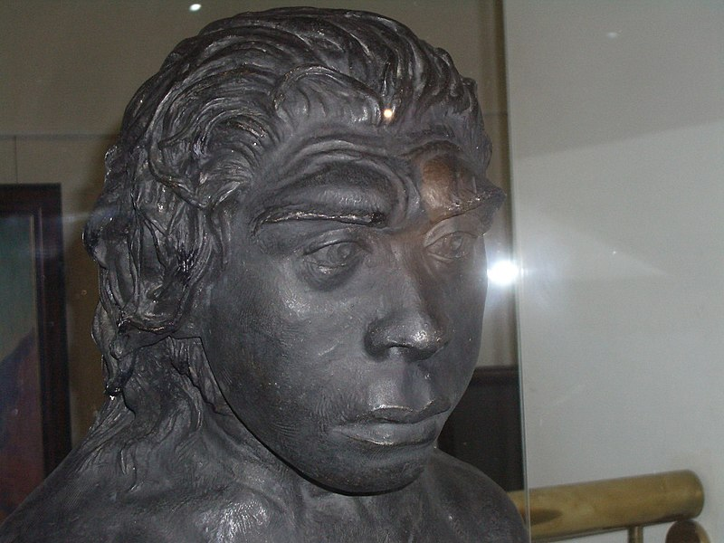 Неандертальская женщина из Гибралтара (Герасимов М. М.)