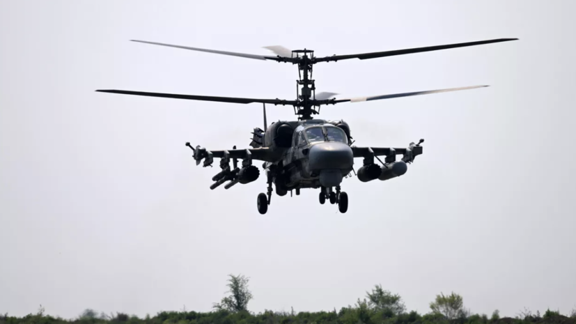    РИА Новости / Евгений Биятов